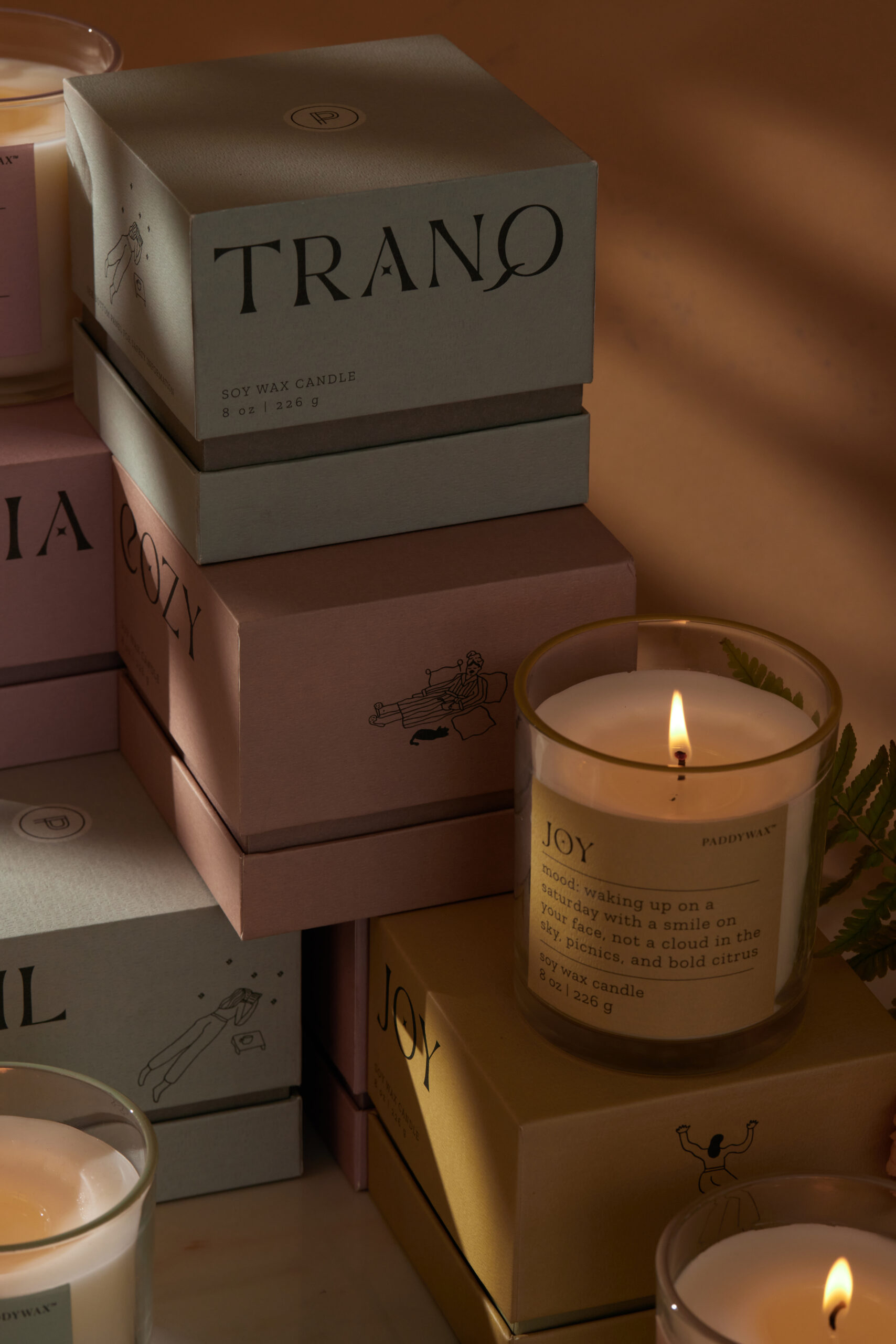 Lush Palms "Tranquil" - Mood Collection - obrazek 2