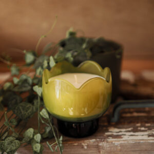 Tulip Glass Candle, Verbena and Lemongrass